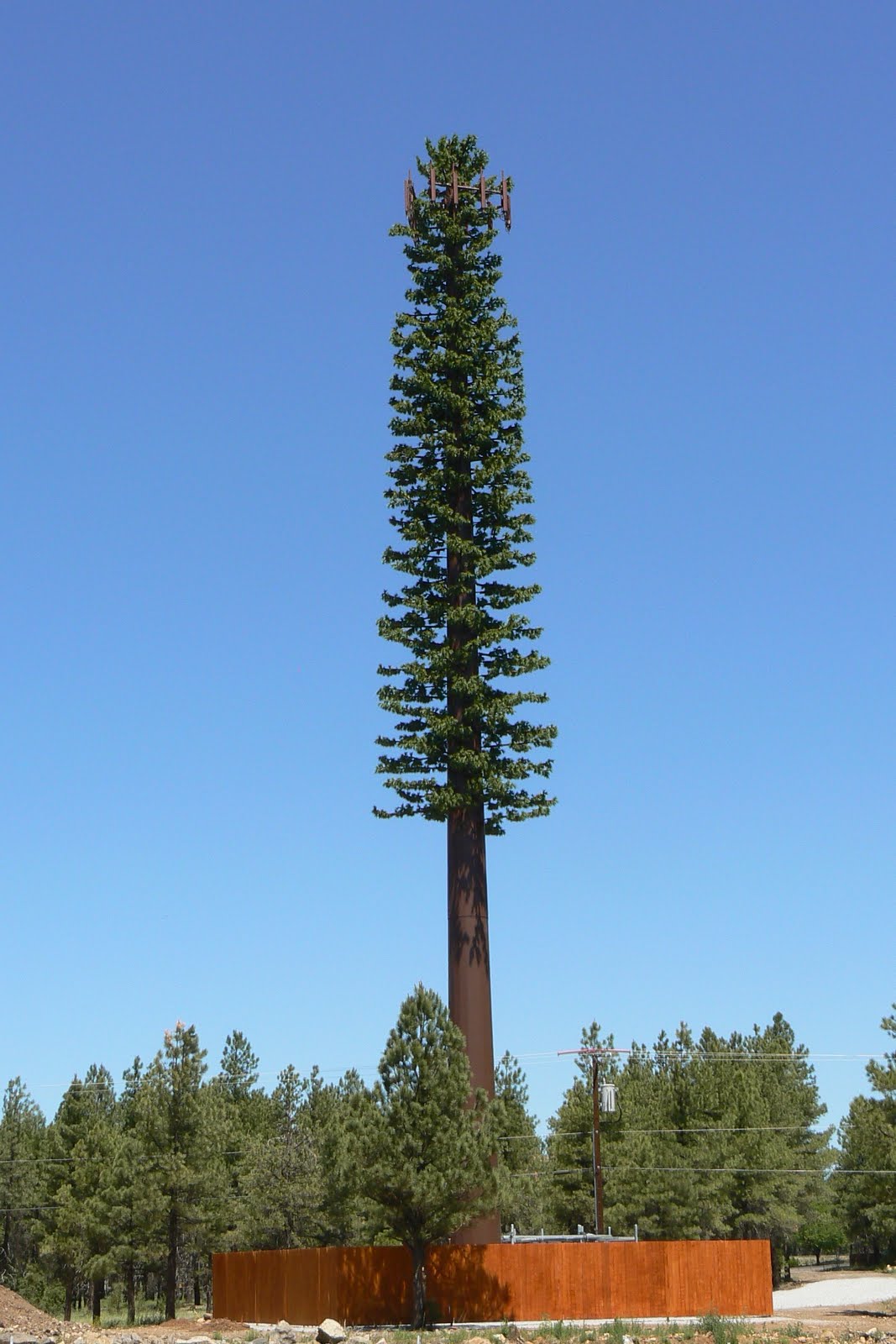 pine-tree-cellular-tower-near-flagstaff-arizona-2010.jpg