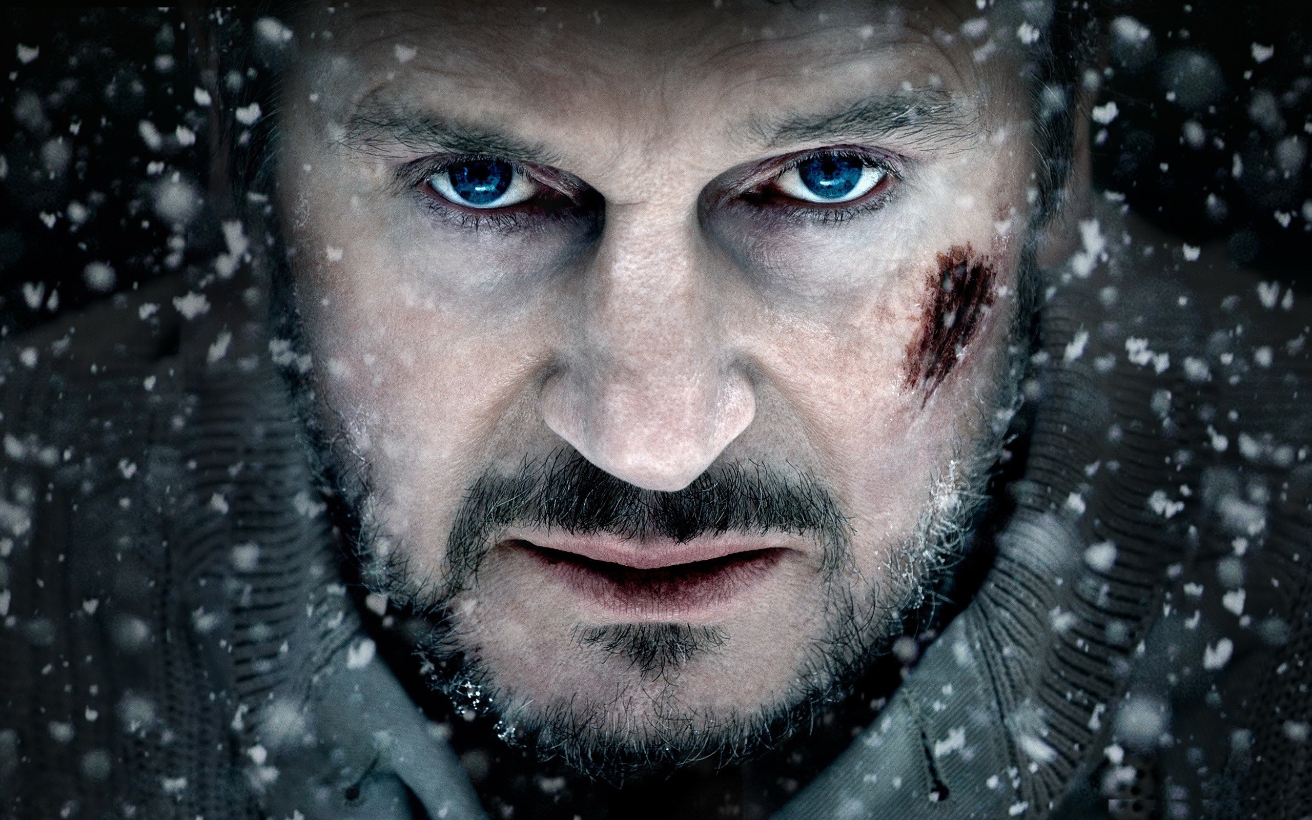 The Grey - Movie Review - Liam Neeson - A Meditation On Death, Bravery ...