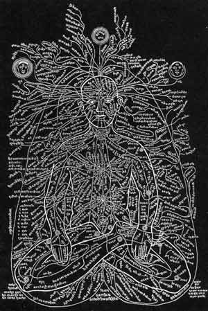 Kundalini Awakening - Spiritual Signs And Symptoms diagram of a human cell 