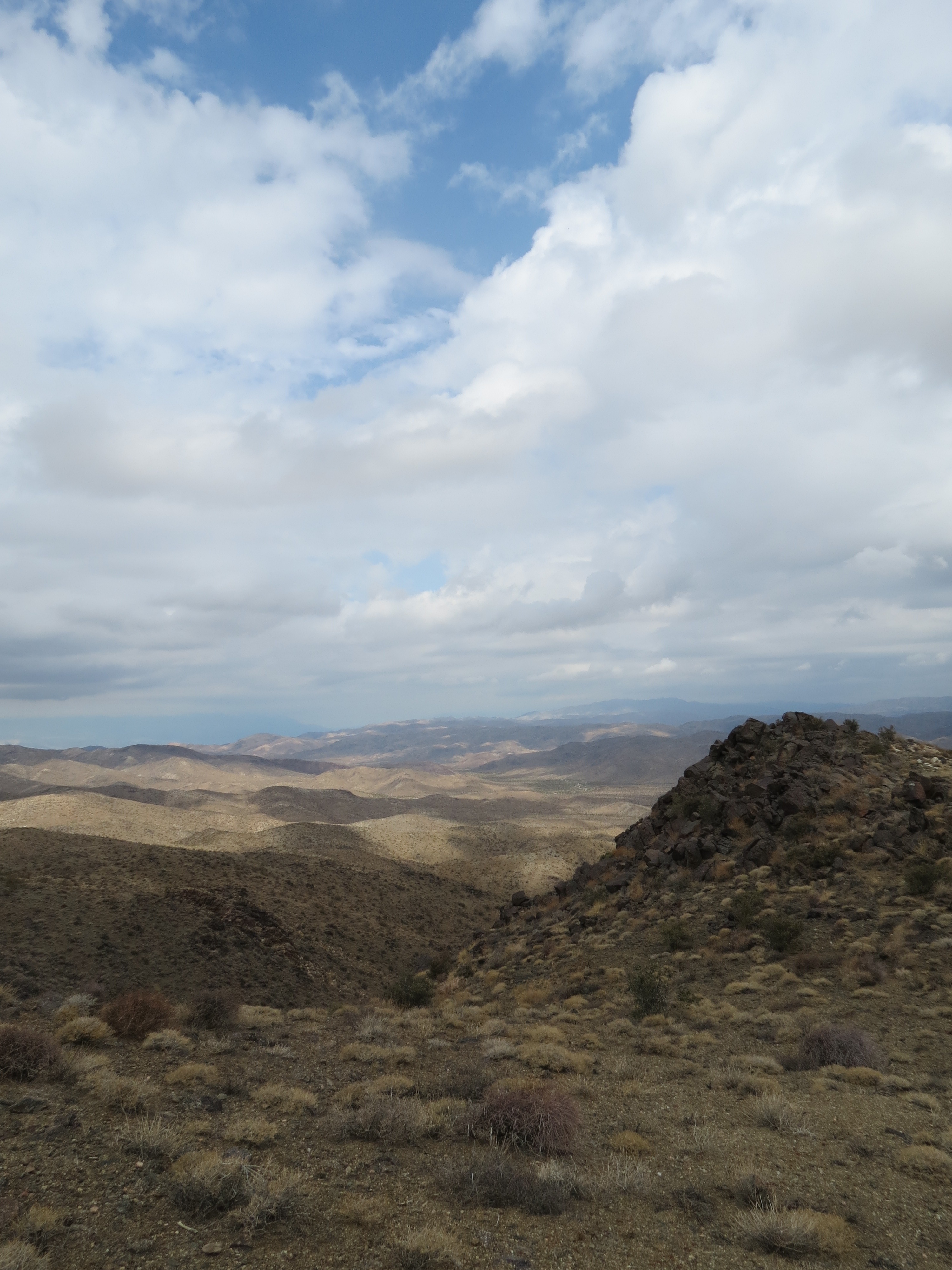 Joshua Tree National Park - Pictures/Photos - Pinkham Canyon Road ...